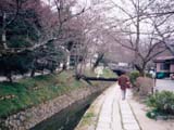 多摩川の風景_3